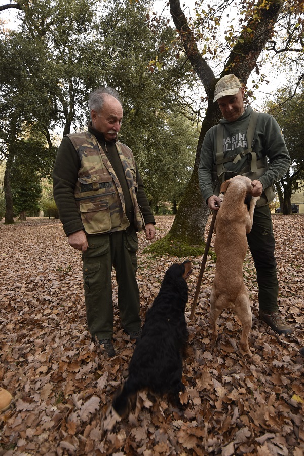 truffle hunters
